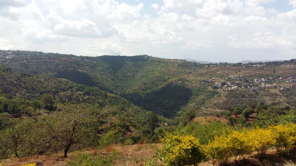 Hill Top Villa Panchgani Exterior foto